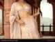 Organza vs Silk vs Tissue - Lehenga Fabric Comparison Guide